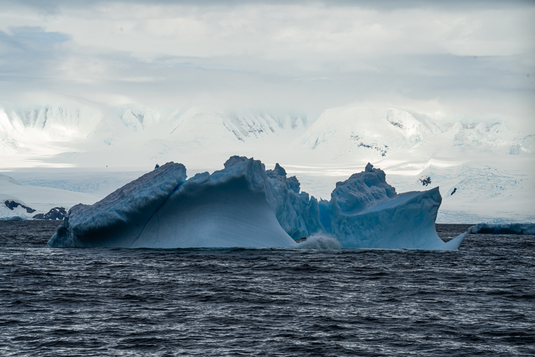 antarctic icebergs