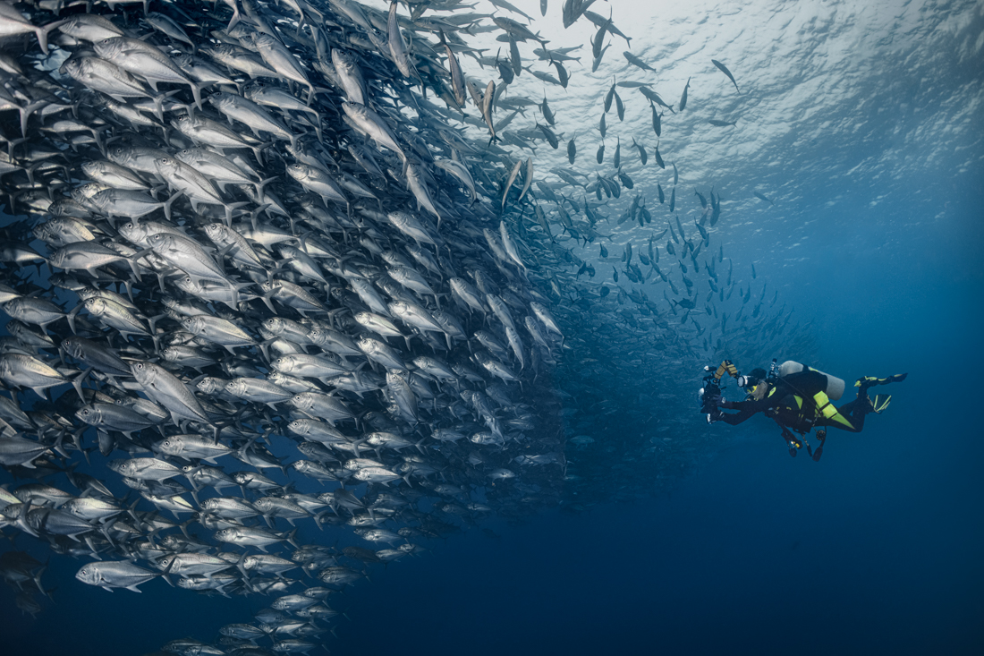 Jackfish Storm