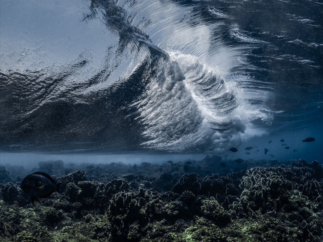 Underwater Symphony Of Waves