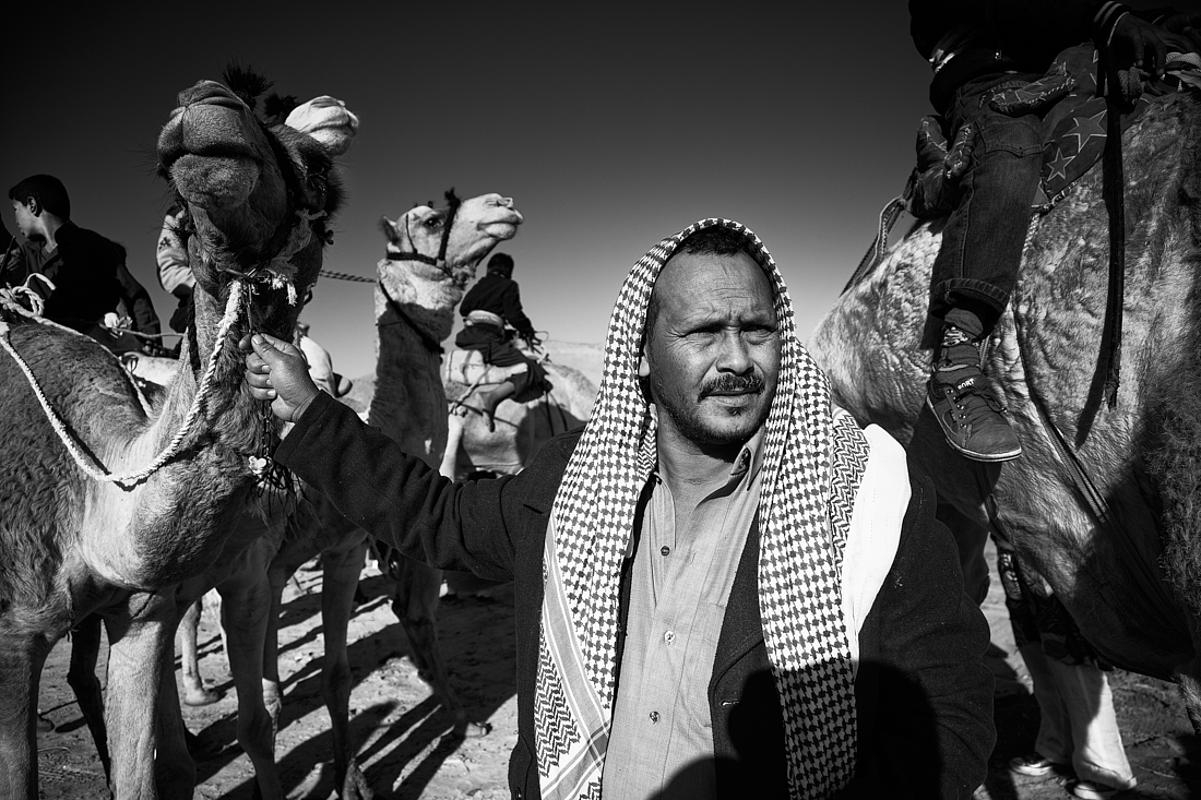 Sinai Camel Racing