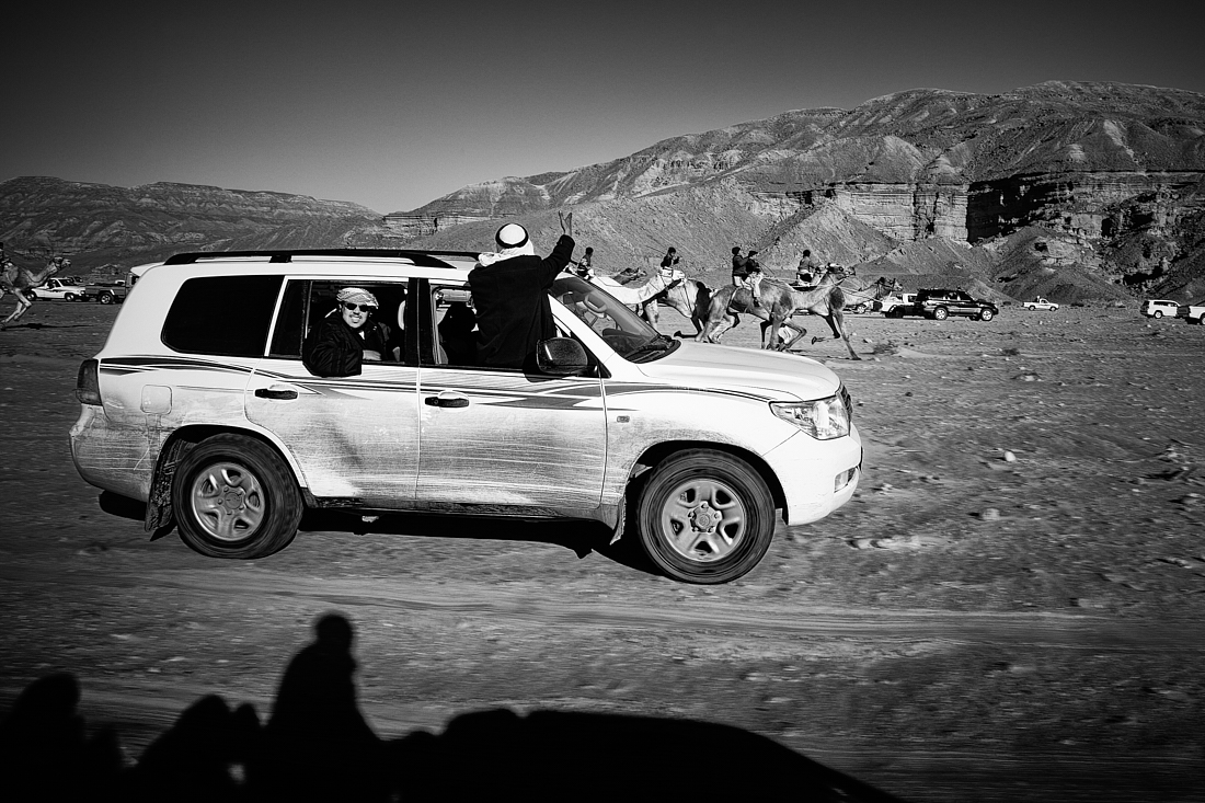 Sinai Camel Racing