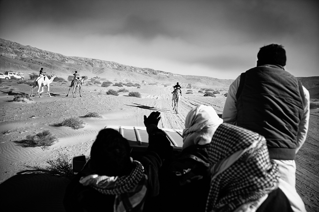 Sinai Camel Racing