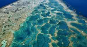 Coral reef series