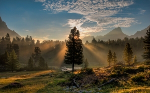 Rising sun and tree, Dolomites, Italy
