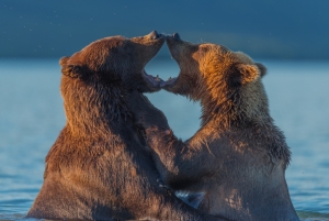 From Kamchatka with love...