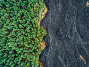 Solidified lava versus Forest