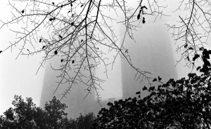 Foggy Day New York