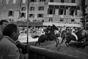 The Palio Horse Race