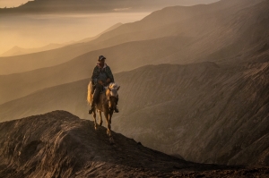 Horse-Rider at Dawn