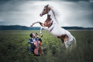 A Cellist's Dream