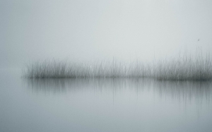 silence lake