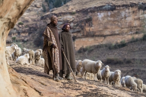 Basotho Shepherds