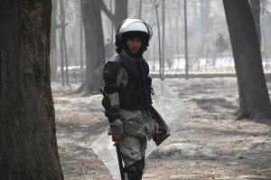 A Policeman in the Park 