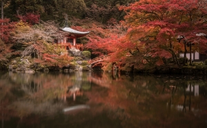 Japan fall foliage