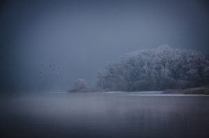 silence winter