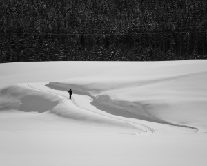 Lone Skier