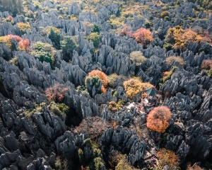 Autumn In The Stone Forest