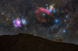 The beauty of Stars of Canaries
