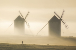 Giants in the mist