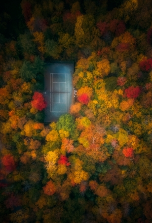 Fall Window