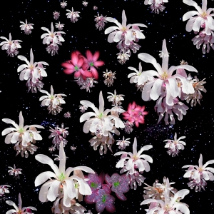 flower galaxies
