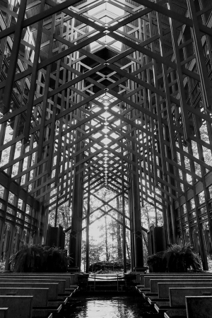 Thorncrown Chapel: Subtlety of Shade