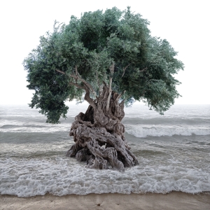 Tree of Life (Olive Tree)
