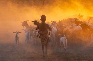 Sunrise Shepherdess, Omo Valley, Ethiopia